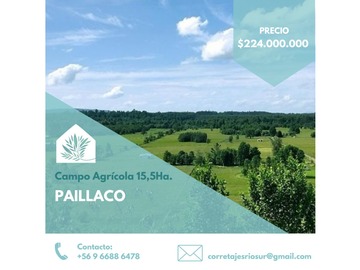 Venta / Terreno / Paillaco