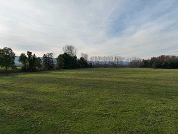 Venta / Terreno / Paillaco