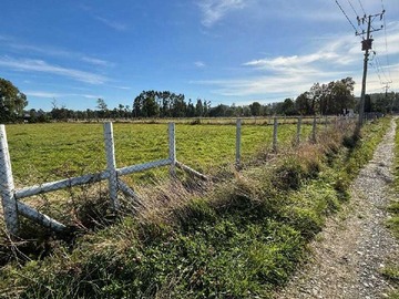 Venta / Terreno / Paillaco