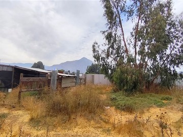 Imagen 12