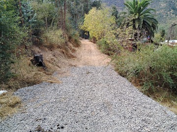 Imagen 6