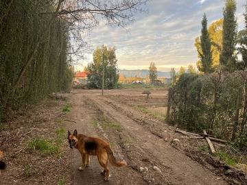 Venta / Terreno / Paine