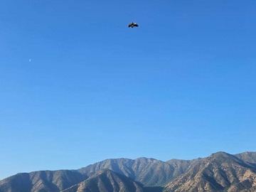 Venta / Terreno / Paine