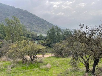 Venta / Terreno / Paine