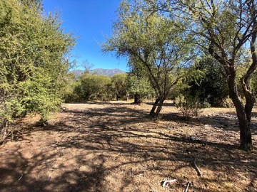 Venta / Terreno / Paine