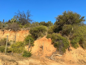 Venta / Terreno / Paine