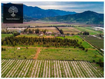 Venta / Terreno / Paine