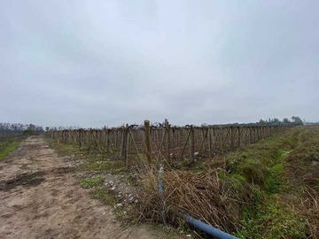 Imagen 18