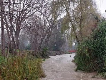 Imagen 18