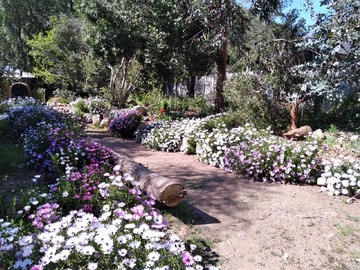 Venta / Terreno / Paine