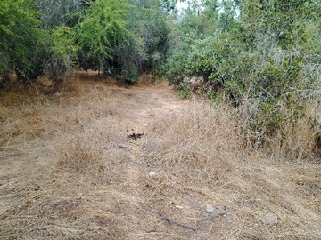 Imagen 17