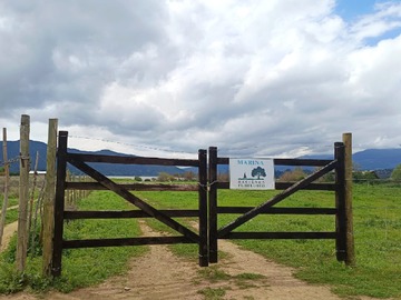Acceso exclusivo a Laguna