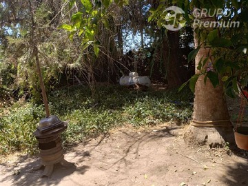Imagen 8