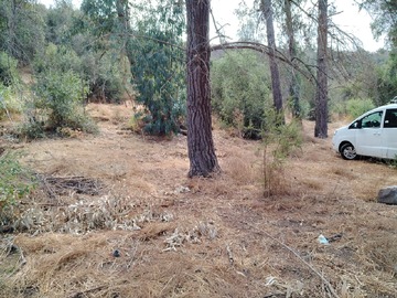 Imagen 8