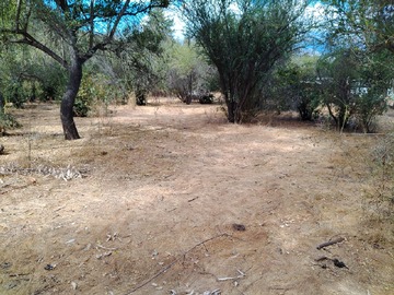 Imagen 9