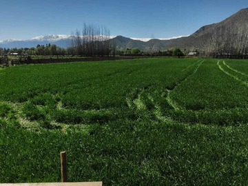 Venta / Terreno / Paine