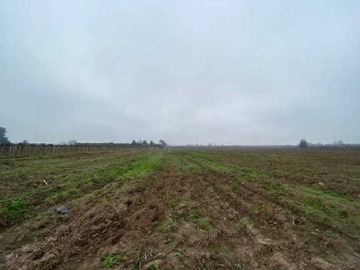 Venta / Terreno / Paine