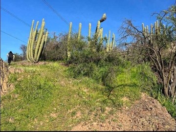 Venta / Terreno / Paine