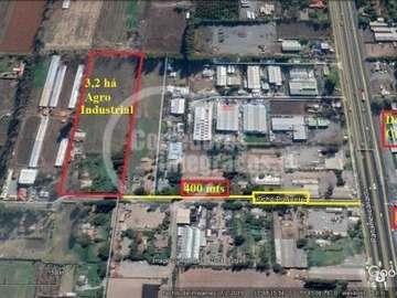 Imagen 8