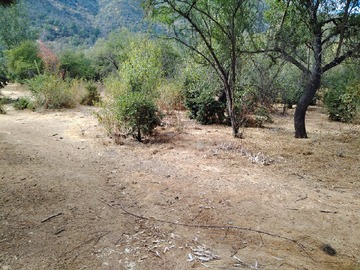 Imagen 10