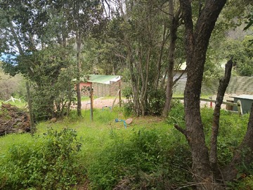 Interior terreno