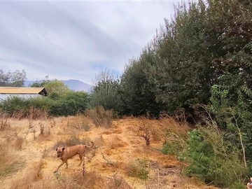 Imagen 14