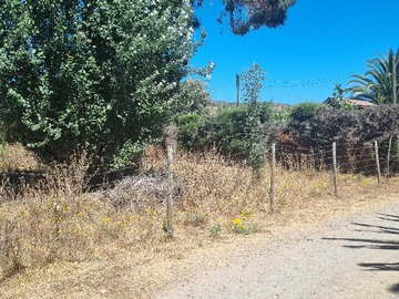 Imagen 8