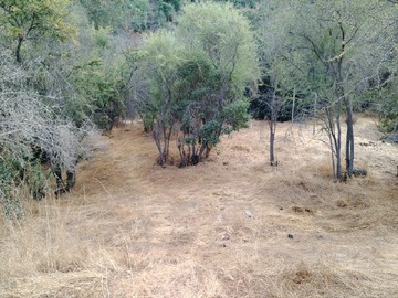 Imagen 18