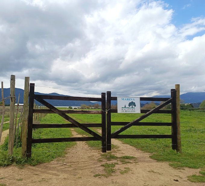 Acceso exclusivo a Laguna