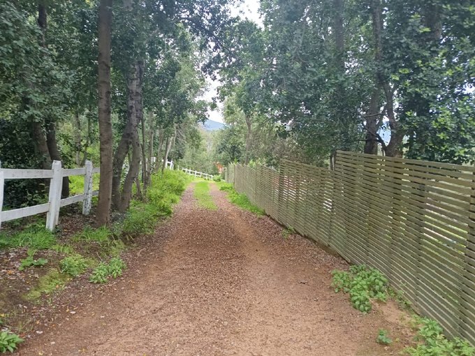 Camino colindante terreno