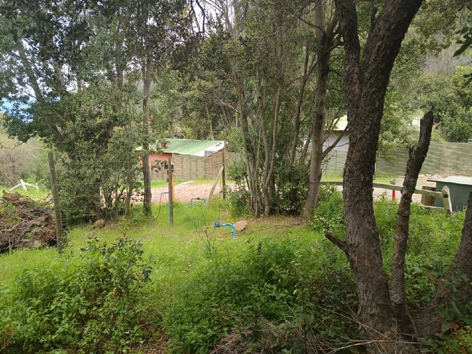 Interior terreno