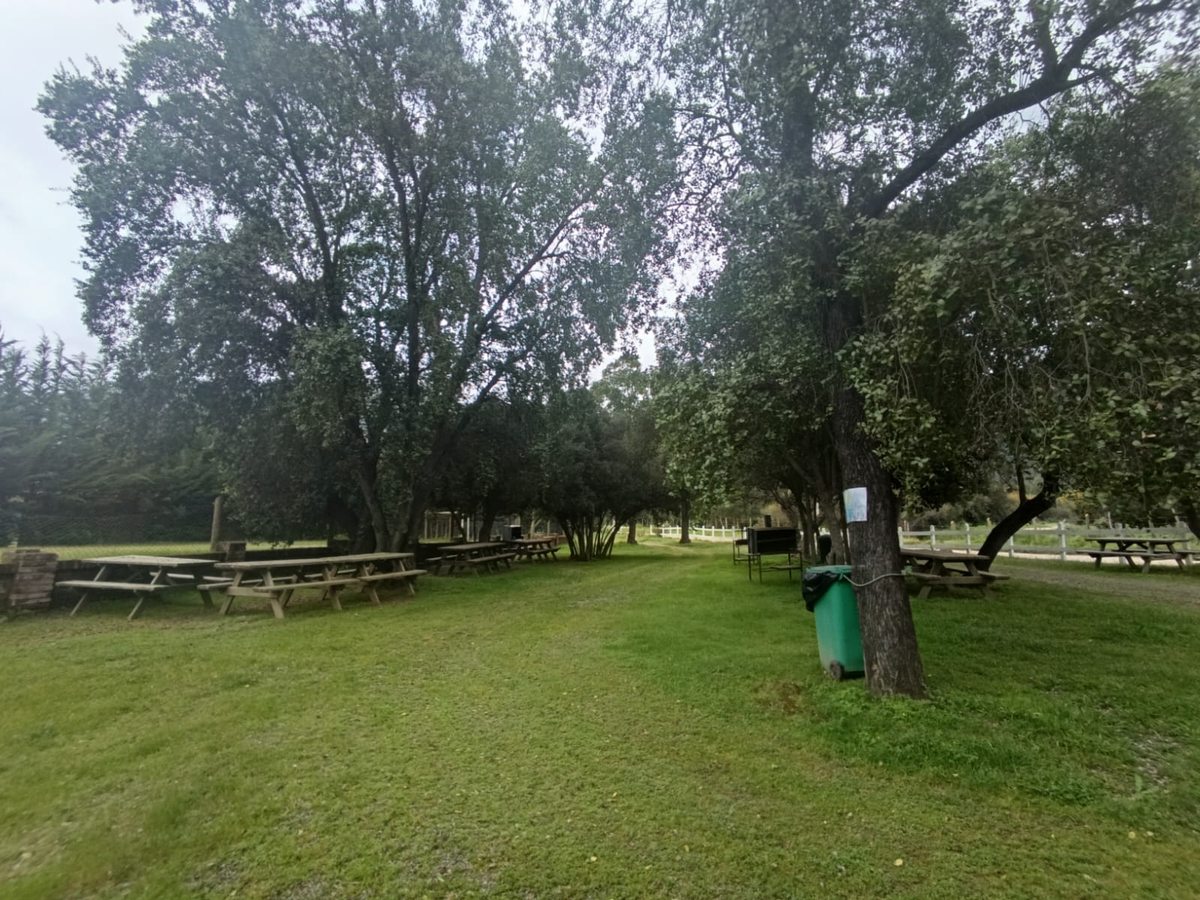 Zona de quinchos
