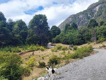 Venta / Terreno / Palena