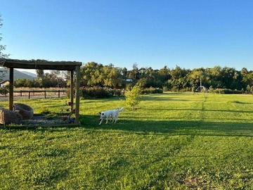 Venta / Terreno / Palmilla