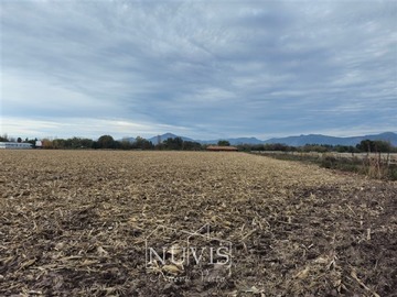 Imagen 14