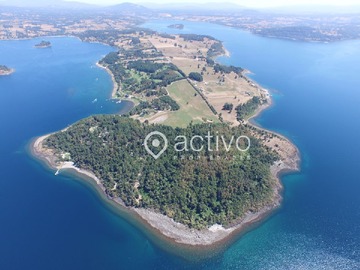 Venta / Terreno / Panguipulli