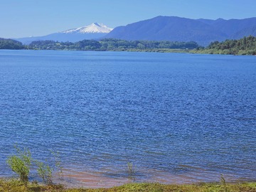 Imagen 11