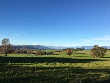 Venta / Terreno / Panguipulli