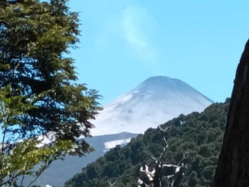 Venta / Terreno / Panguipulli