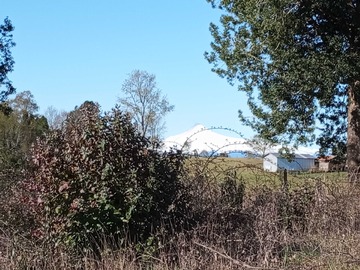 Venta / Terreno / Panguipulli