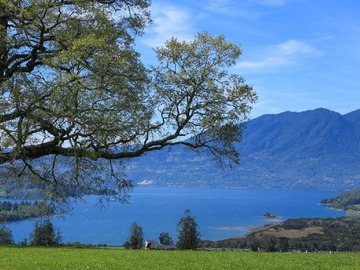 Imagen 22