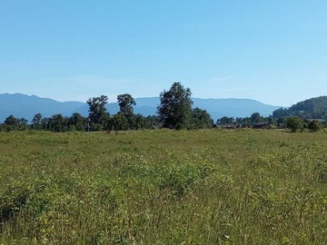 Venta / Terreno / Panguipulli