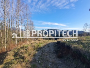 Venta / Terreno / Panguipulli