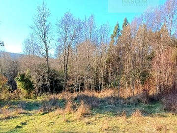 Venta / Terreno / Panguipulli