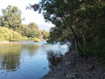 Venta / Terreno / Panguipulli