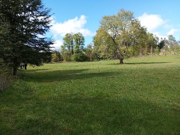 Venta / Terreno / Panguipulli