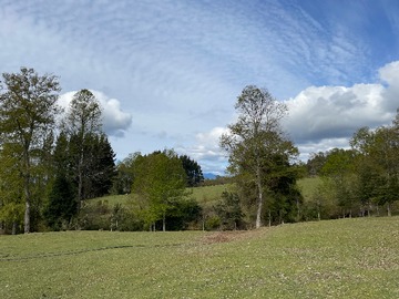 Venta / Terreno / Panguipulli