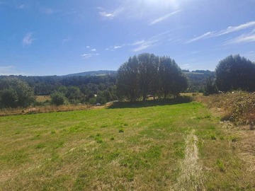 Venta / Terreno / Panguipulli