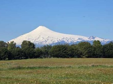 Venta / Terreno / Panguipulli