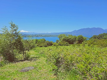 Venta / Terreno / Panguipulli